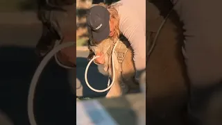 Road trip vlog through Georgia to Nashville Tennessee❤️ #vlog #roadtrip