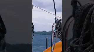 Easy cruising on a beam reach in 20kn of wind. Dry, warm and breezy. #sailing #tranquility #shorts