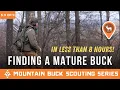 Find a Mature Buck in Less Than 8 HOURS Mountain Buck Scouting Series