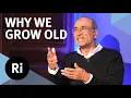 Download Lagu In search of immortality - with Venki Ramakrishnan