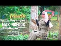 Download Lagu LAGU LAMPUNG TERBARU 2025 - VANNIKU - SAYANG KU MAKDOK TANDINGAN - cipt : Heddy Pualam