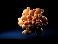 Maya 2026 Trying Boolean Volume Mesh
