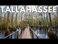 Download Lagu 24 Hours in Tallahassee, Florida: What to Do, See \u0026 Eat