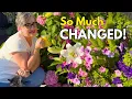 June 2026 Garden Tour What s Happening in My Garden