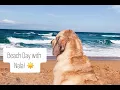 Taking Our Dog to the Beach Bucc-ee s Daytona Beach Weekly Vlog