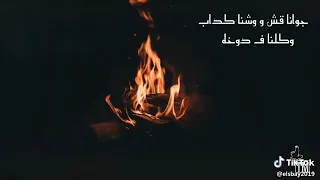 جوانا قش ووشنا كداب دندنها