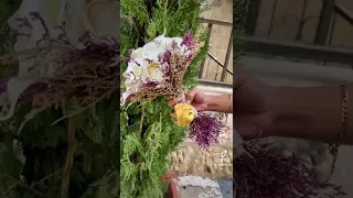 اغاني اعراس مسكات عروسه باقة اكسبلور Explore 