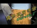 Gareth.T - 國際孤獨等級/Loner's Anthem (Piano Cover · 簡單)