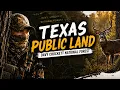 Hunting Texas Public Land Davy Crockett National Forest