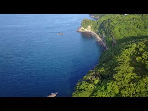 ドローン撮影、動画、静止画どちらも承ります。