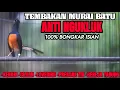 Download Lagu TEMBAKAN MURAI BATU ISIAN CILILIN KENARI LOVEBIRD