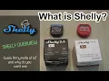 Download Lagu Shelly Overview - What is a Shelly and how you can use it?