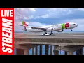 Download Lagu 🔴 Madeira Airport LIVE Plane Spotting