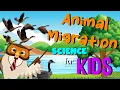 Animal Migration Science for Kids