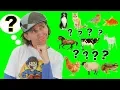 Download Lagu What Is It? Animals Song | My First Words Series Song 1 | Learn English