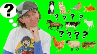 Download What Is It Animals Song | My First Words Series Song 1 | Learn English MP3