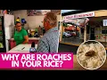 NASTY Restaurant SHUT DOWN After Roaches Found Crawling in Rice