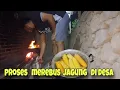 Download Lagu Menikmati Suasana kampung yg asri setelah di guyur hujan / merebus jagung dan masak