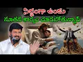 Download Lagu సిద్ధంగా ఉండు నూతన కార్యం చూడబోతున్నావ్ Message by shalemanna...