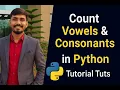 Count Vowels and Consonants in a String using Python Beginner Friendly Tutorial
