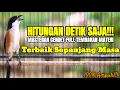 Download Lagu MASTERAN BURUNG CENDET TERBAIK MATERI TERBARU FULL ISIAN MEWAH