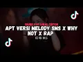 Download Lagu DJ APT VERSI MELODY SMS DJ VEL BASS VIRAL TIKTOK 2024