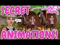 NEW PLAYER CHARACTER ANIMATIONS IN STAR STABLE NOW