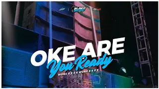 Download Okey Are You Ready - Wong E E E || Jingle Laba Laba Audio  [Alparez Revolution BMC Official] MP3