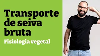 Transporte de seiva bruta [SIMPLES!] | Fisiologia vegetal - Aula 24 - Botânica | Prof. Gui