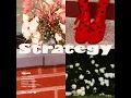 Strategy (version 1.0)
