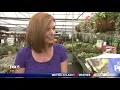 Pike Nurseries DIY hanging container with Joanne Feldman