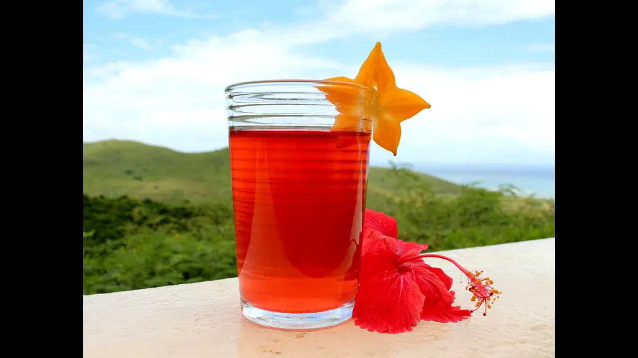 How to Dry and Make Hibiscus Tea for High Blood Pressure or Hypertension