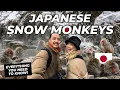 Japanese SNOW MONKEY Park Winter trip to Nagano Japan vlog EVERYTHING you need to know
