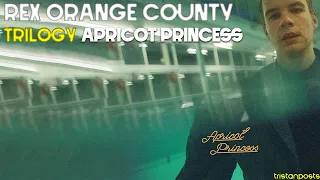 the rex orange county trilogy apricot princess a video essay