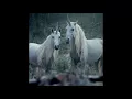 Right here - Lil peep (without horsehead)