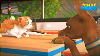 Small kitten afraid of big dog | Mighty Mike | 45' Compilation | Cartoon for Kids