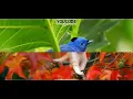 Parallax Scrolling Effect using HTML and CSS only - Coder Wave