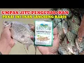 Download Lagu UMPAN PALING JITU‼️BUAT MANCING DI SUNGAI DAN KOLAM HARIAN