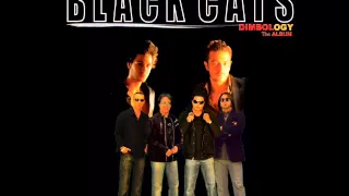 Black Cats Yeki Bood Yeki Nabood بلک کتس یکی بود یکی نبود  Black Cats Yeki Bood Yeki Nabood بلک کتس یکی بود یکی نبود
