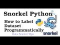 Snorkel Python Tutorial - How to Programmatically Label Datasets Fixed