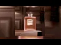 Perfume - Dalex (Solo Versión)