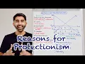 Reasons for Protectionism with Evaluation