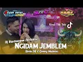Download Lagu Dj Bantengan terbaru NGIDAM JEMBLEM - Ririn DA Ft Gerry Mahesa