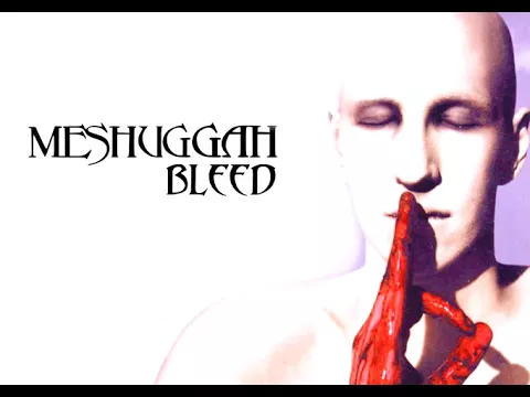 Download MP3 Meshuggah - Bleed (instrumental)