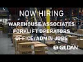 Hire Dynamics and Gildan Social Short