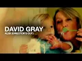 Lagu DAVID GRAY - Alibi (Official Music Video - Director's Cut)