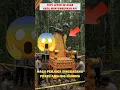 Download Lagu ⚠️‼️ singgasana emas prabu Angling darma 😱 #shoct ,#shorts