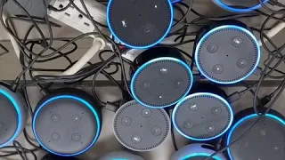 Alexa Farts On Multiple Echos 