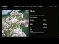 survivor wiki - a post apocalypse essential