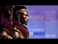 Download Lagu DJ PAULO - AFROPULSE Vol 2 (Afro - Tribal - Downtempo) March 2024